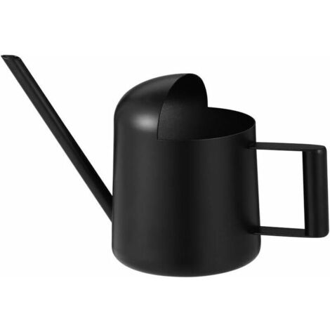 Arrosoir à bonsaï 300 ml, acier inoxydable, vaporisateur à long bec, mini arrosoir pour bonsaï d'intérieur (noir)