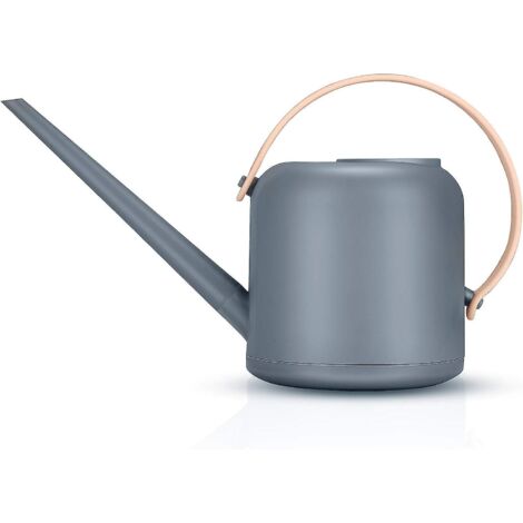 Arrosoir à bonsaï gris avec long bec amovible pour une utilisation intérieure et extérieure