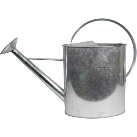 Arrosoir De Jardin - 10L - Acier Galvanisé - Pomme Amovible - Extérieur Et Intérieur - 61x20x41 Cm