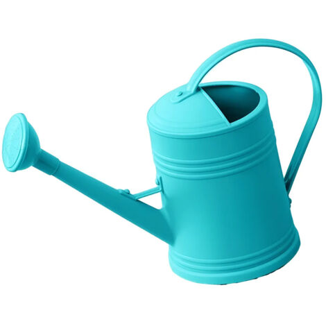 Arrosoir de jardin long bec 2 l