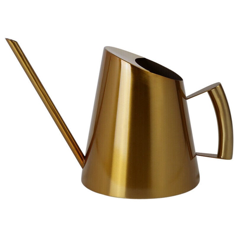 Gojoy - Arrosoir En Acier Inoxydable Arrosoir D'Intérieur Pot De Fleurs Pot De Conception Outil De Plantes D'Intérieur 900ml