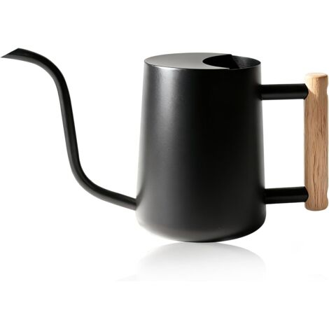 Arrosoir en Acier Inoxydable Arrosoir Extérieur à Long Bec Arrosoir Compact pour Plantes d'Intérieur Fleurs de Jardin (Noir)