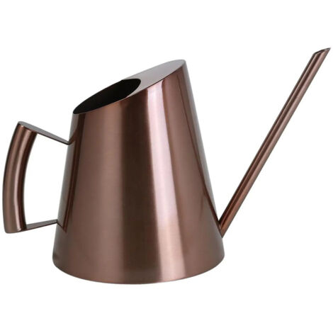 Arrosoir en acier inoxydable bross pot long bec pour