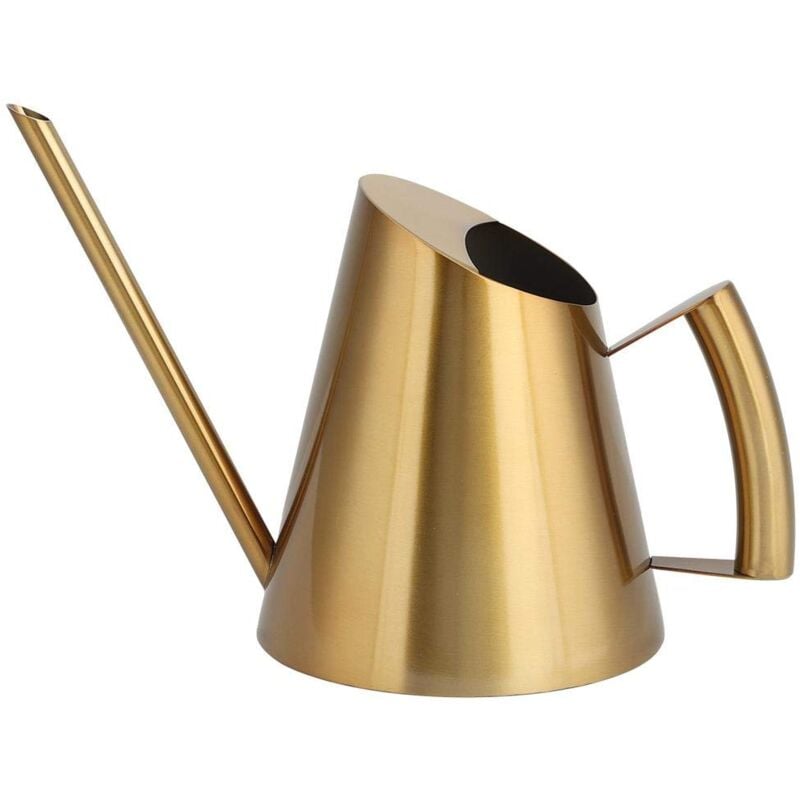 Arrosoir en métal intérieur extérieur, Pot d'arrosage arrosage Pot d'arrosage avec Longue Bouche pour Bureau Jardin Fleurs Plantes d'intérieur(30,5