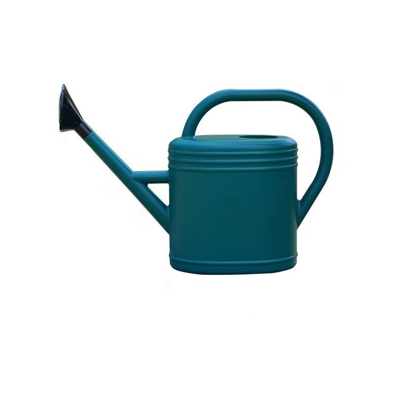 Dpzo - Arrosoir Ovale 3 Litres avec Pomme d'Arrosage - Design Métal Vieilli Vert - Dimensions 40 x 12 x 29 cm - Pour Plantes d'Intérieur et Extérieur