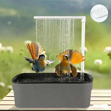 Arrosoir Rii pour perroquets baignoire automatique robinet pour