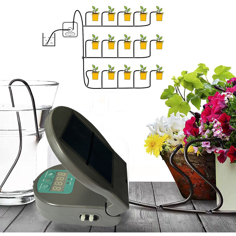 Arrosoir solaire d'extérieur Arroseur paresseux d'intérieur Arroseur automatique de fleurs Arroseur de plantes en pot