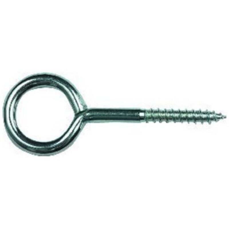 Art. 1 Ringschraube V2A 1/20x 10 50 Stk