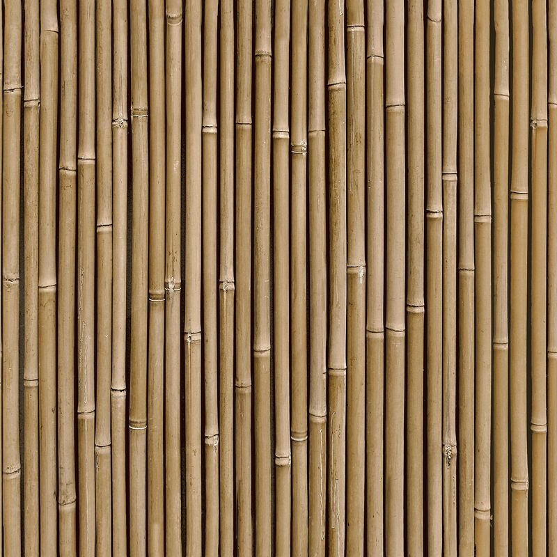 Bamboo Wall Natural Wallpaper Brown Paste The Wall Modern Contemporary - Arthouse