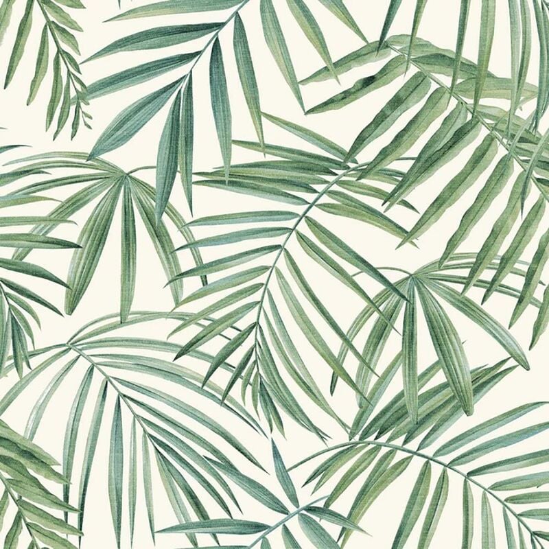 Palm Leaves Green Wallpaper Tropical Botanical Trendy Feature Wall - Arthouse