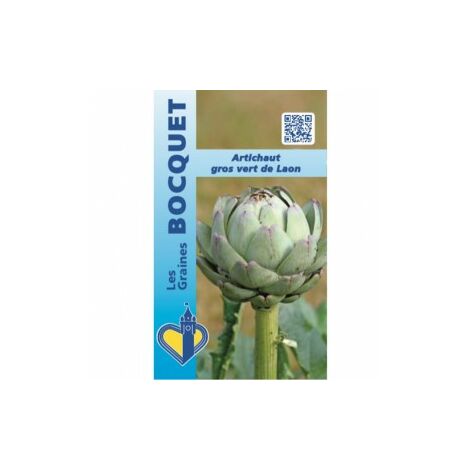 Artichaut gros vert de Laon – Semis de février à avril – Variété rustique avec grosses têtes – Résistant au froid – Graines Bocquet