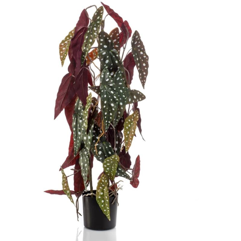 Artificial Begonia Maculata 75 cm in Pot Emerald - Green