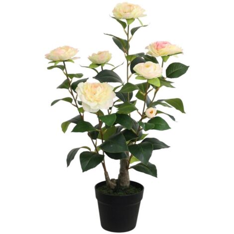 Artificial Camellia Plant - L50 x W50 x H58 cm