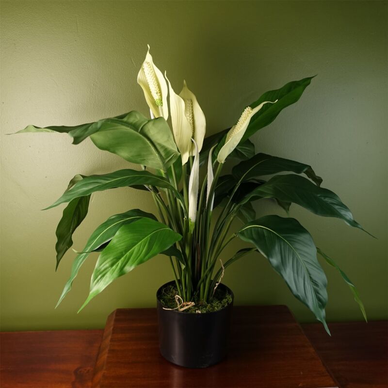 Leaf Artificial Peace Lily White Spathiphyllum