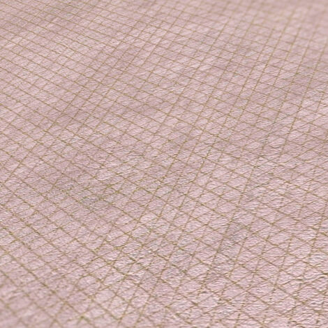 A.S. Creation  The BOS  388263  Vliestapete  Einfarbig  Uni  0.53 x 10.05 m  Rosa  Wohnzimmer  Schlafzimmer  Flur  Küche  Esszimmer  Badezimmer  Bad  Arbeitszimmer  Büro  Diele