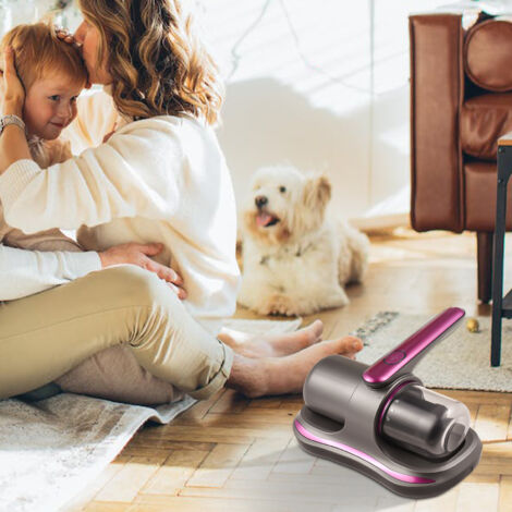 Aspiradora de colchones inalámbrica (100 W) con filtro HEPA – Potencia de succión de 8 kPa – 2 velocidades – Color gris-púrpura