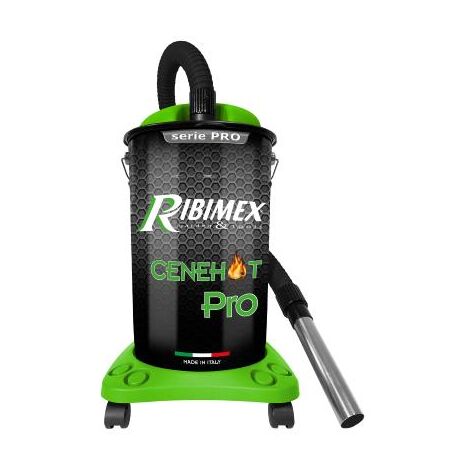 Aspirateur à cendres Pro 1200 W