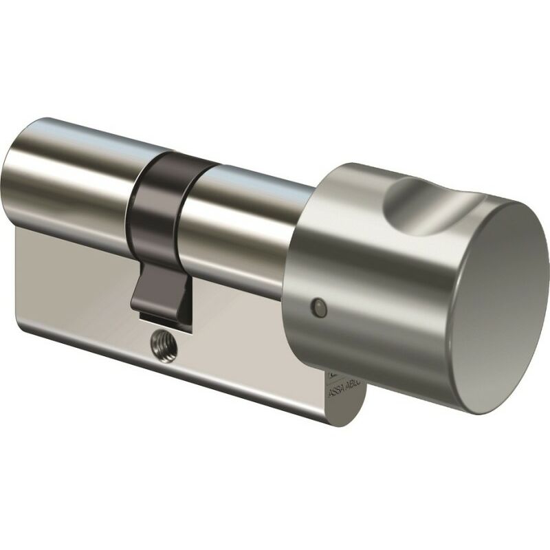 

Assa Abloy P034 - Cilindro de bloqueo de la manija 50/30 - KNF AB = 91 = 0 + 1 - Ikon Zi