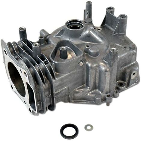 Assieme cilindro motore con coppa olio inclusa originale BRIGGS & STRATTON