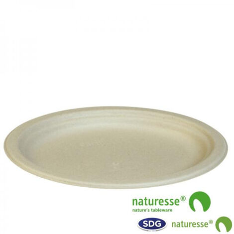 Assiette Jetable Pulpe de Cellulose Nature 26x19 cm - SDG - Lot de 500