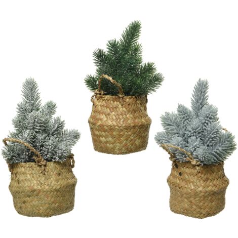 Assortierte Mini-Bäume H 24 cm