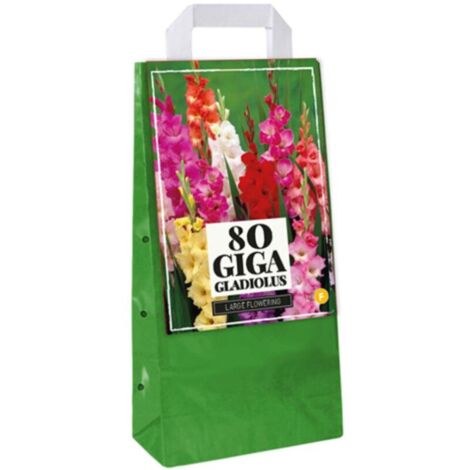 JUB Assortiment 80 bulbes Glaïeuls