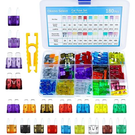 Assortiment de 180 fusibles de voiture standard et mini fusibles plats 2 A 40 A pour voiture, camion, moto, camping-car avec extracteur de fusible