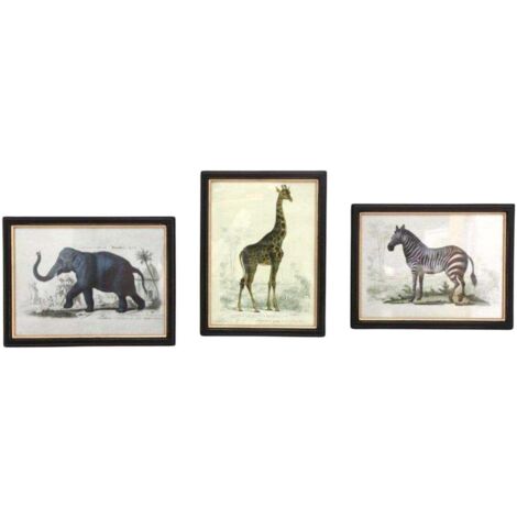 Assortiment de 3 cadres Safari