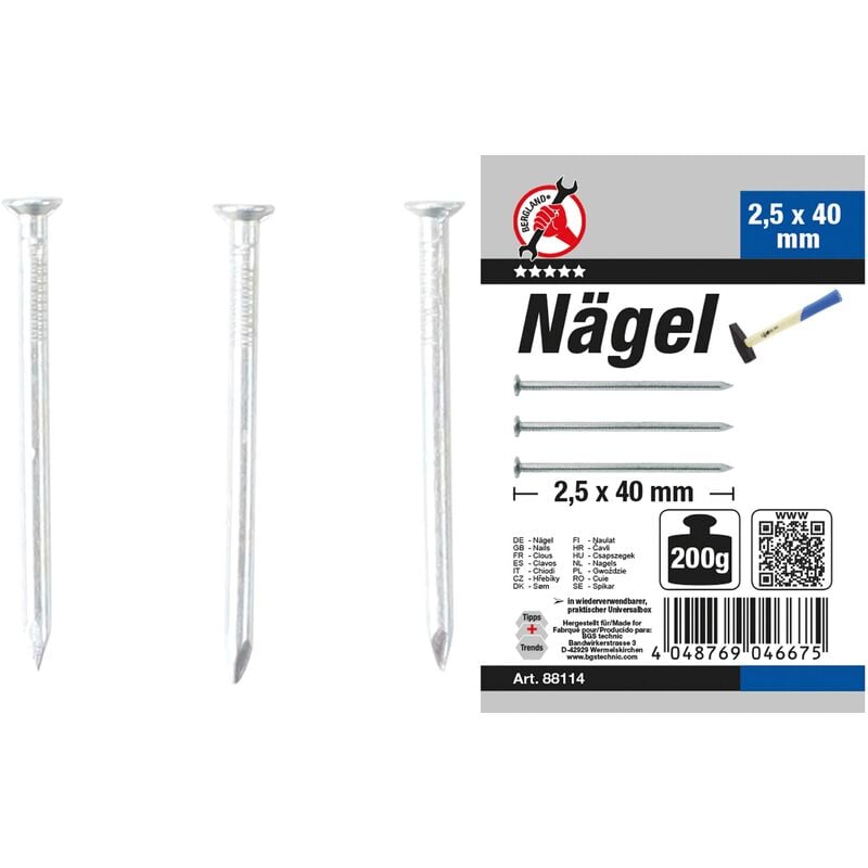 Assortiment de clous 200G 2,5 x 40 mm bgs diy 88114