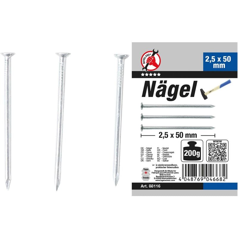Assortiment de clous 200G 2,5 x 50 mm bgs diy 88116