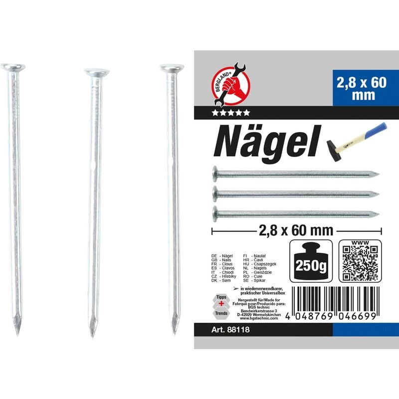 Bgs Technic - assortiment de clous 250 g 2,8 x 60 mm bgs diy 88118