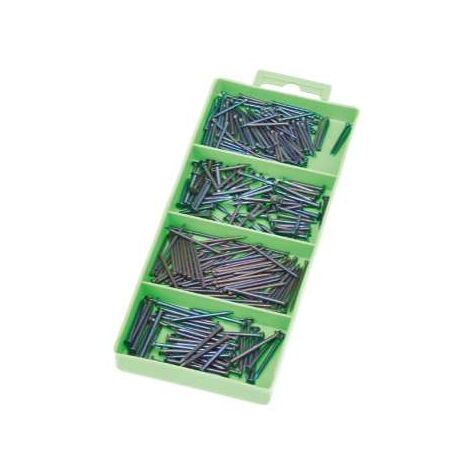Assortimento Chiodi Mm.2X20-2X30-1,5X20-1,5X30