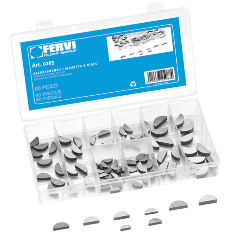 ASSORTIMENTO DI 80 CHIAVETTE A DISCO 0263 FERVI