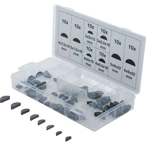 BGS TECHNIC Assortimento di chiavette a disco 80 pz.