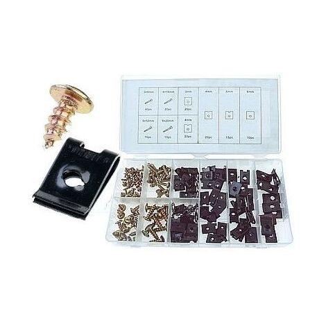 assortimento di clip e viti, 170 pezzi