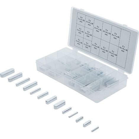 BGS TECHNIC Assortimento linguette 60 pz.