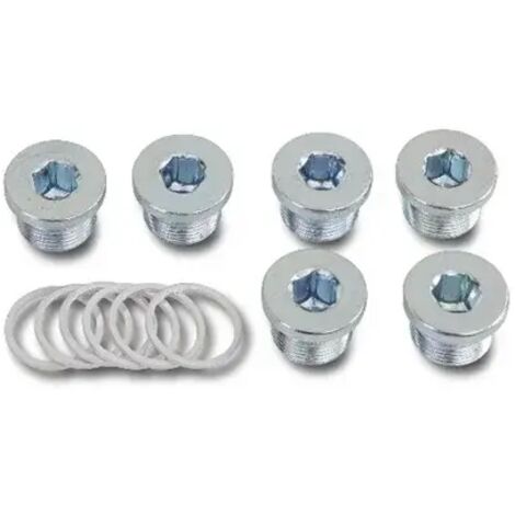 Assortimento tappi olio e rondelle  beta 1495t - M20X1,50