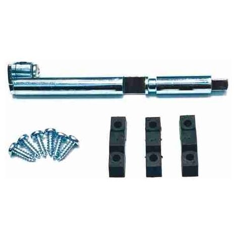 Asta Sblocco Emega Ferni Ricambio CAME 119RIE066