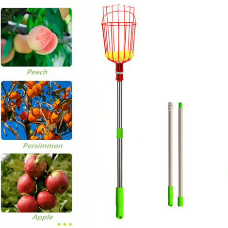 Asta telescopica per la raccolta della frutta da 2,4 m, asta di prolunga con cestello - Strumento per la raccolta aerea di alberi da frutto
