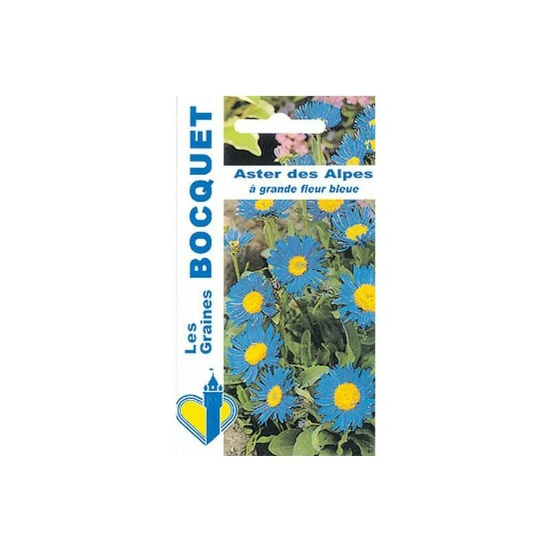 Graines Bocquet - Aster des Alpes grande fleur bleue - 0,3g