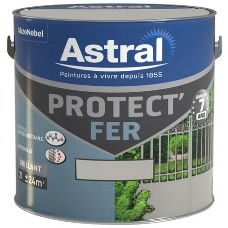 ASTRAL - Protect fer brillant 2l gris acier