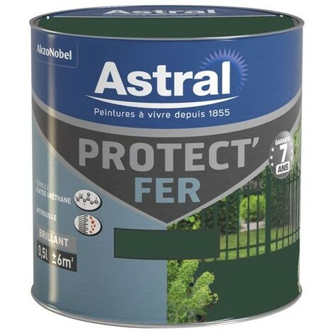 ASTRAL - Protect fer brillant 500ml vert potager