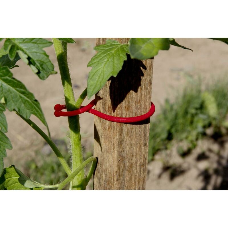 

Atadura Tomatoclips 25ud