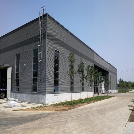 Atelier de Structure en acier H, grande envergure, préfabriquée, léger, Structure personnalisée, avec fenêtre en PVC à bas prix