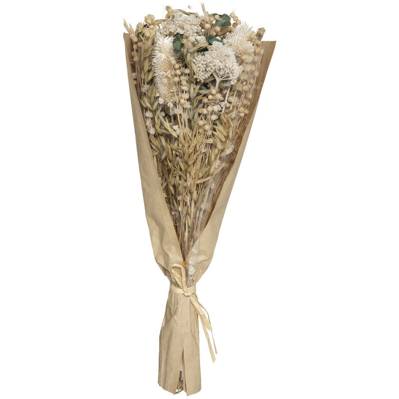 Atmosphera - Bouquet fleurs séchées Chardon H48 cm créateur d'intérieur - Blanc