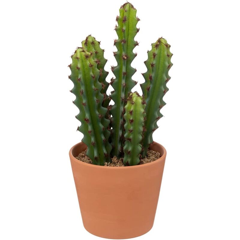Atmosphera - Cactus en Pot Ali Terracotta H25cm