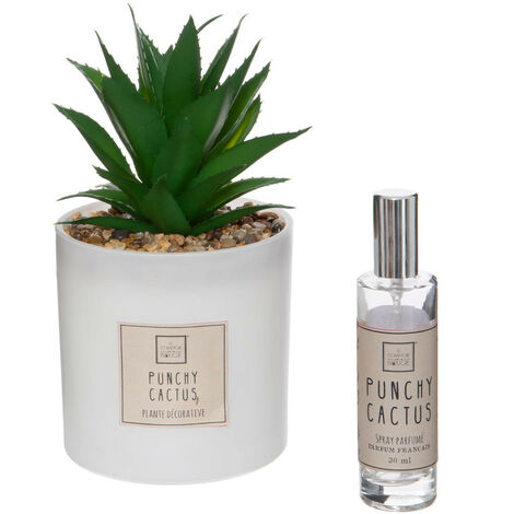 Atmosphera - Coffret Senteur Cactus Plante décorative et son spray de parfum