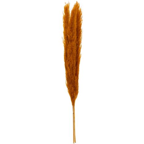 Atmosphera – Lot de 3 branches de pampa séchées ocre H 109 cm – Plantes naturelles légères pour décoration intérieure – Ambiance poétique assurée