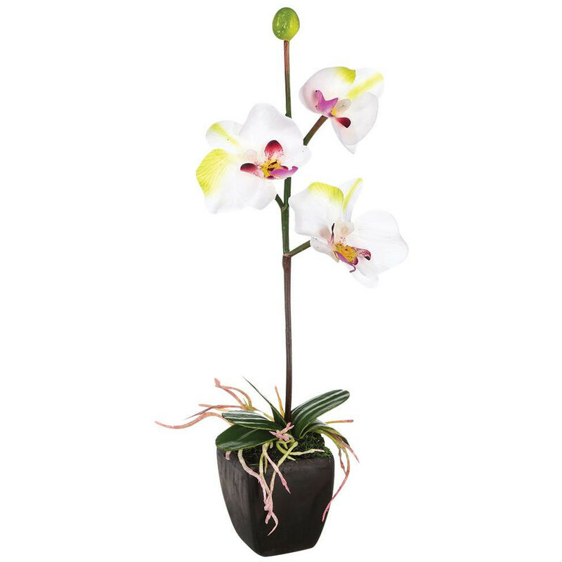 Atmosphera - Plante artificielle Orchidée dans un pot céramique H 29.5 cm - Blanc/rose
