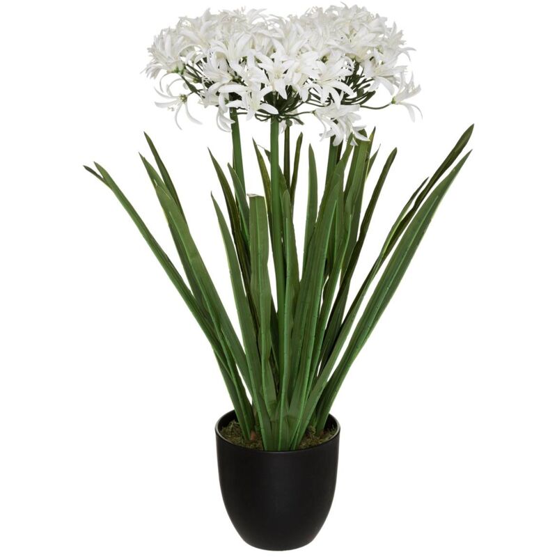 Atmosphera - Agapanthe artificielle H66cm créateur d'intérieur